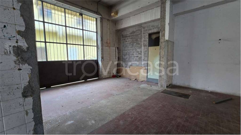 immagine annuncio 2 di 12