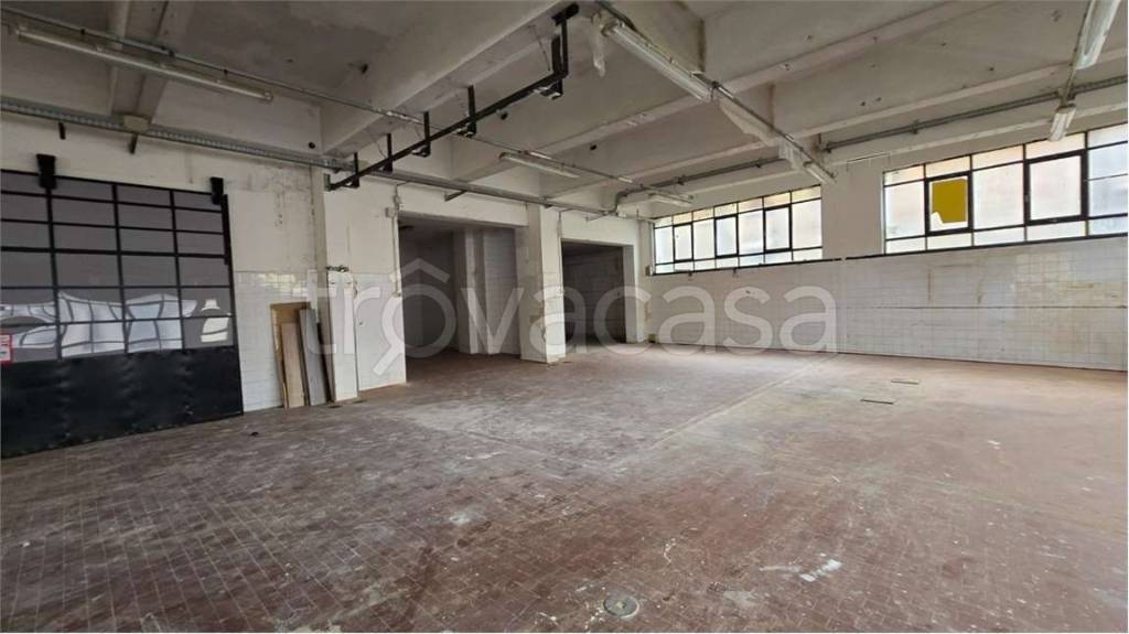 immagine annuncio 3 di 12