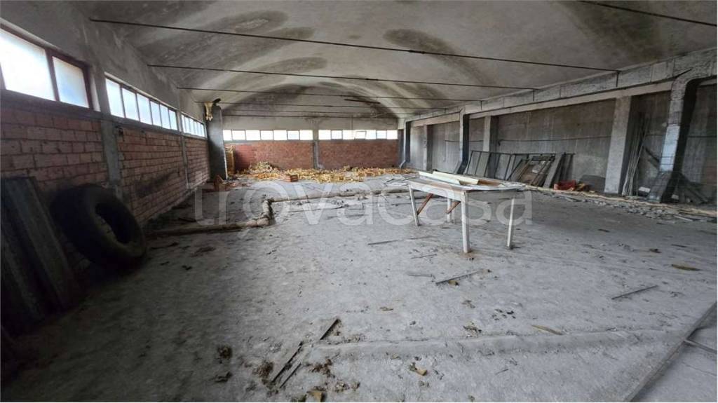 immagine annuncio 11 di 12