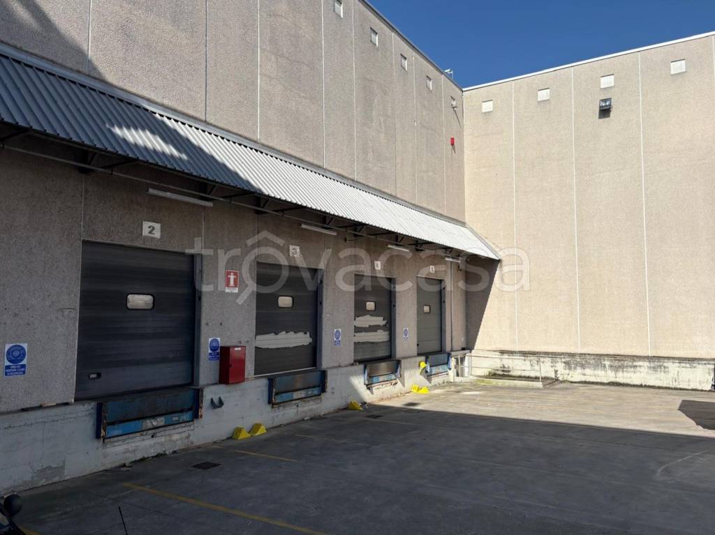 immagine annuncio 8 di 11