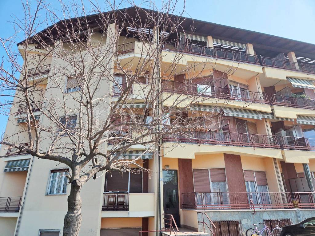 immagine annuncio 2 di 15