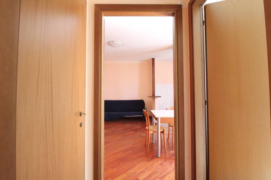 immagine annuncio 7 di 14