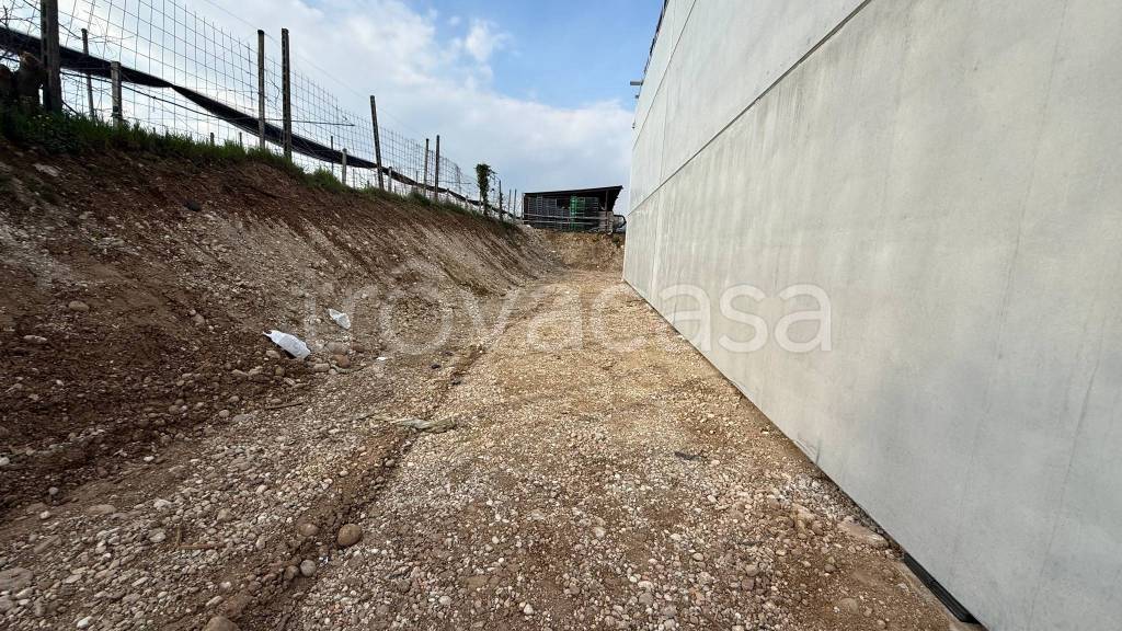 immagine annuncio 5 di 11