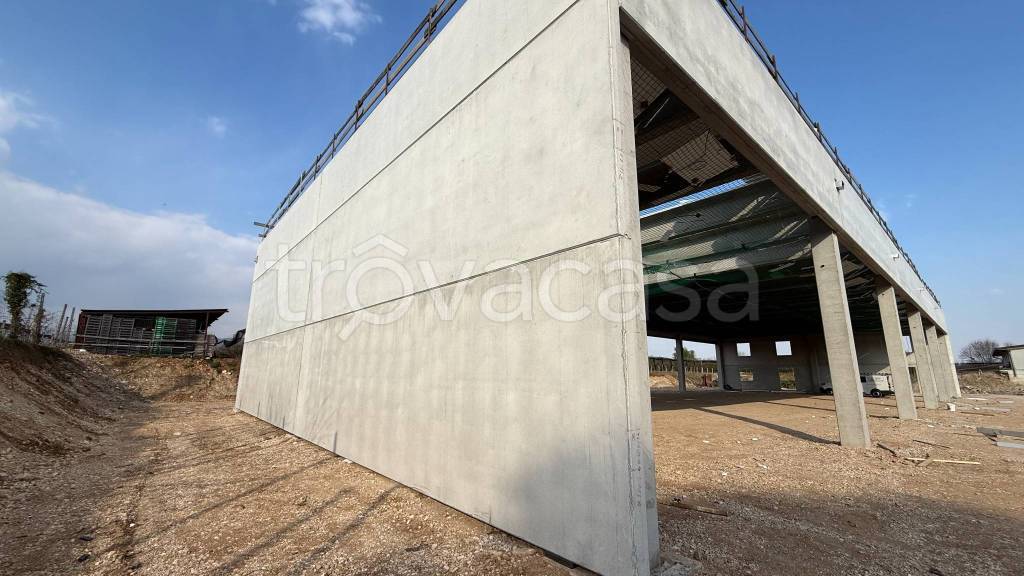 immagine annuncio 6 di 11