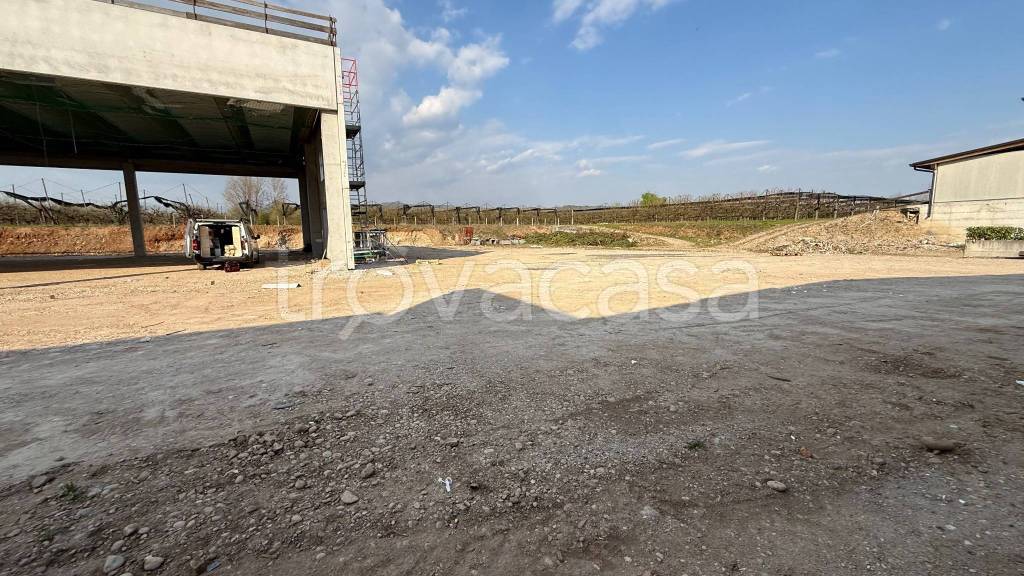 immagine annuncio 7 di 11