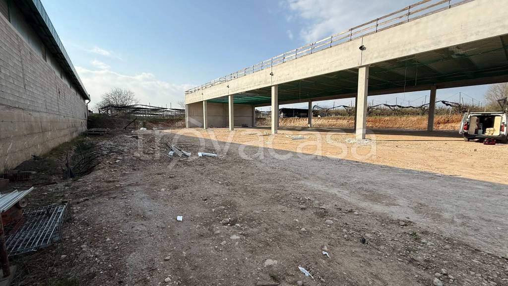 immagine annuncio 8 di 11