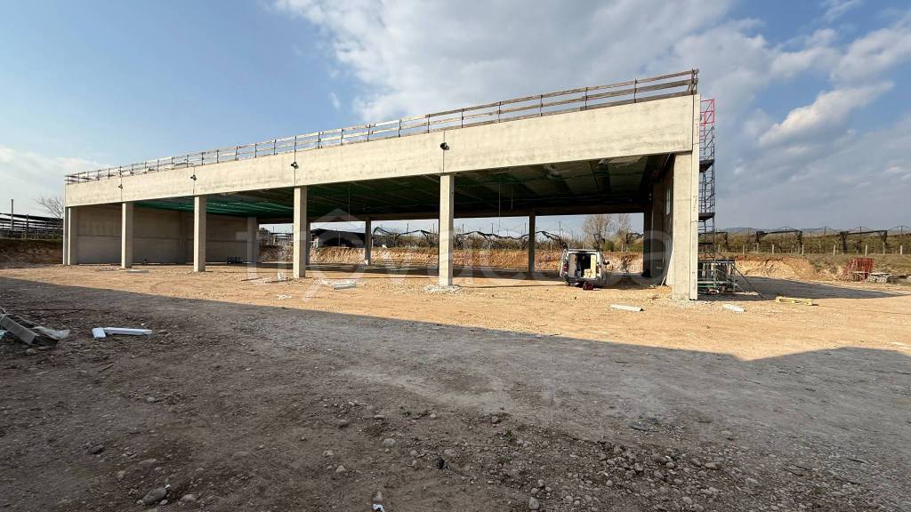 immagine annuncio 1 di 11