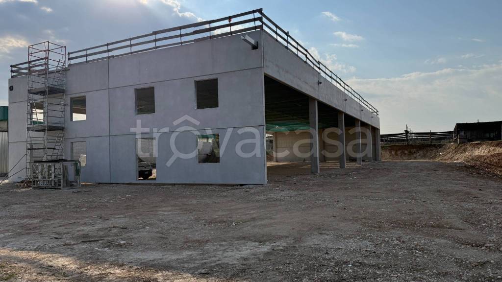 immagine annuncio 2 di 11