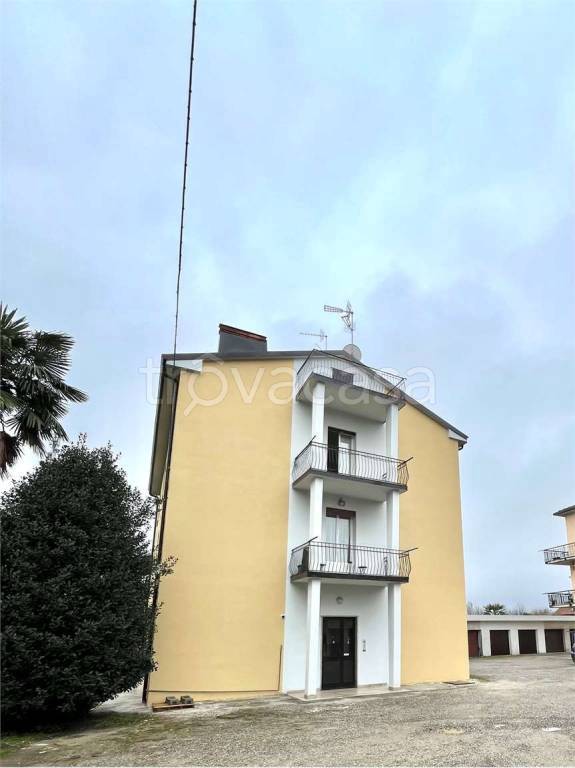 immagine annuncio 2 di 12