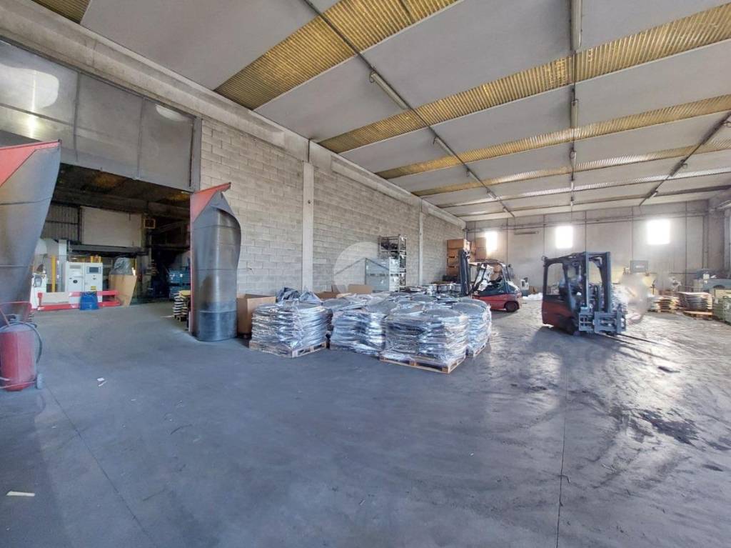 immagine annuncio 3 di 10