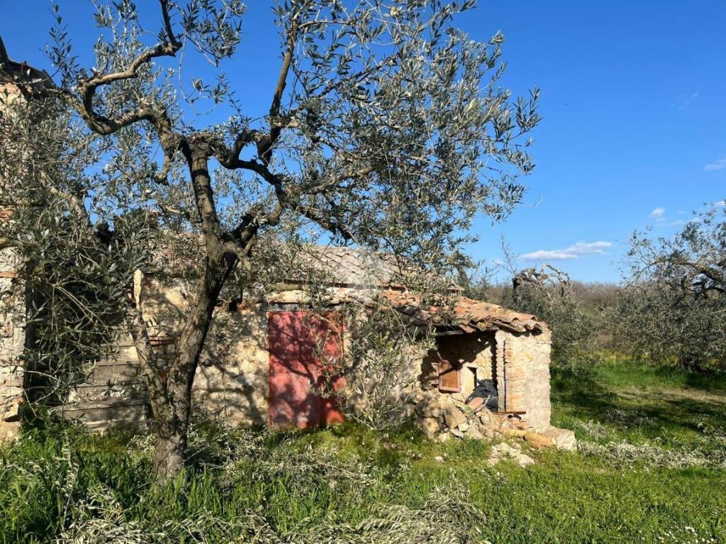 immagine annuncio 1 di 14
