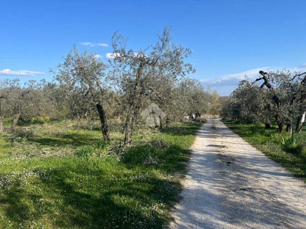 immagine annuncio 1 di 14