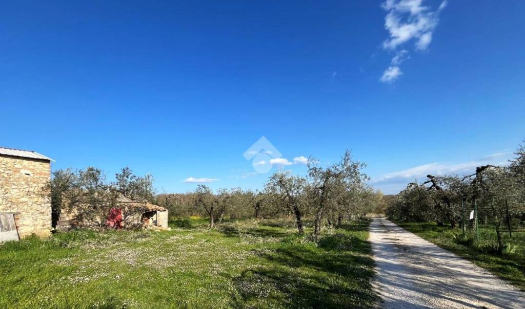 immagine annuncio 5 di 14