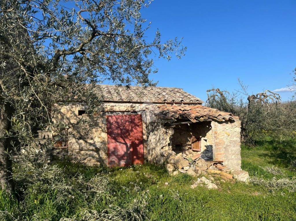 immagine annuncio 10 di 14