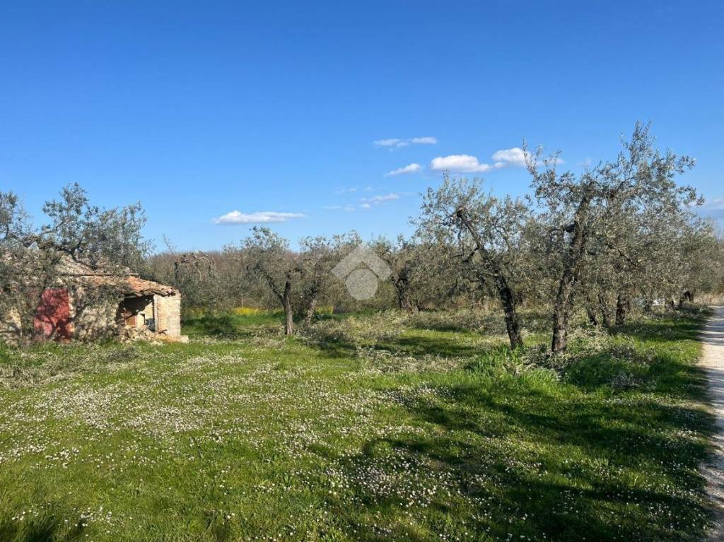 immagine annuncio 11 di 14