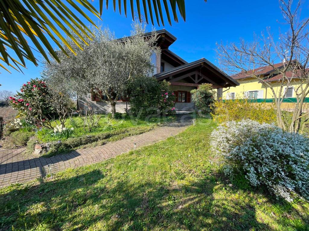 immagine annuncio 2 di 15