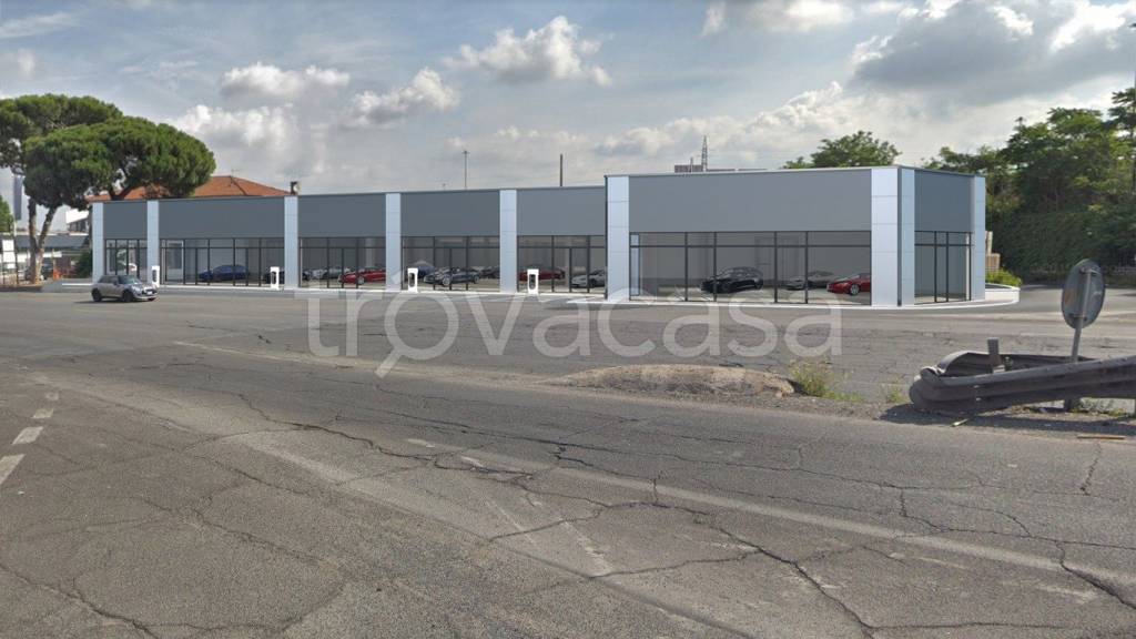 immagine annuncio 12 di 15