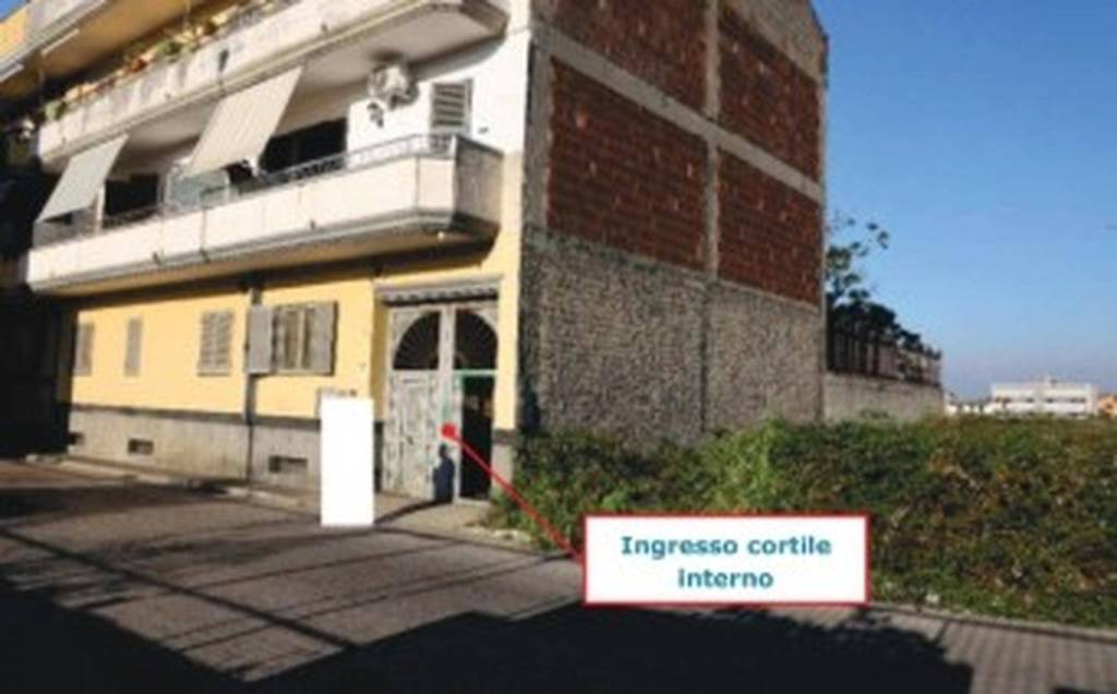 immagine annuncio 12 di 14