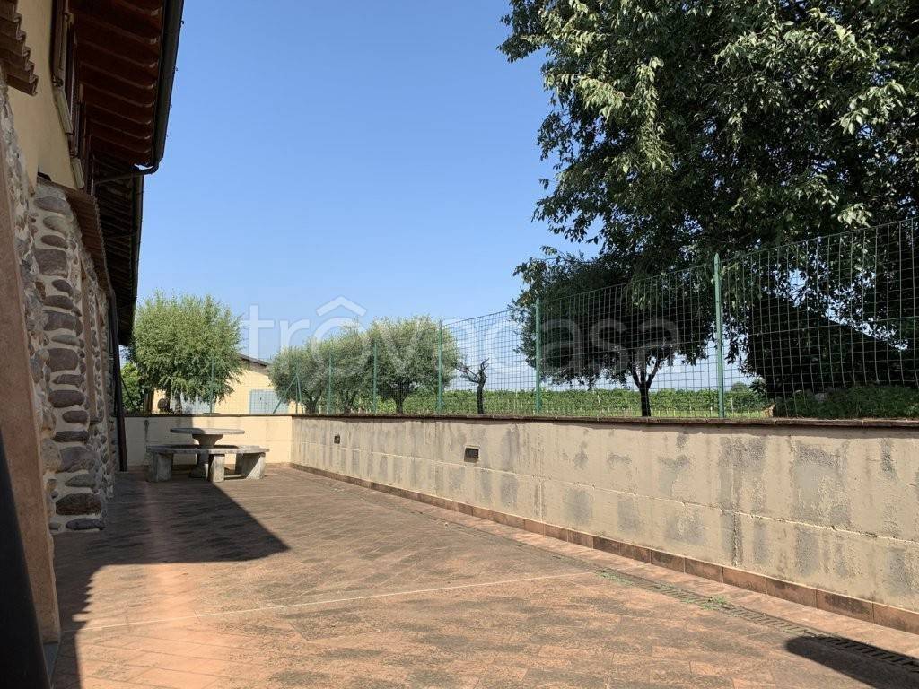 immagine annuncio 11 di 15