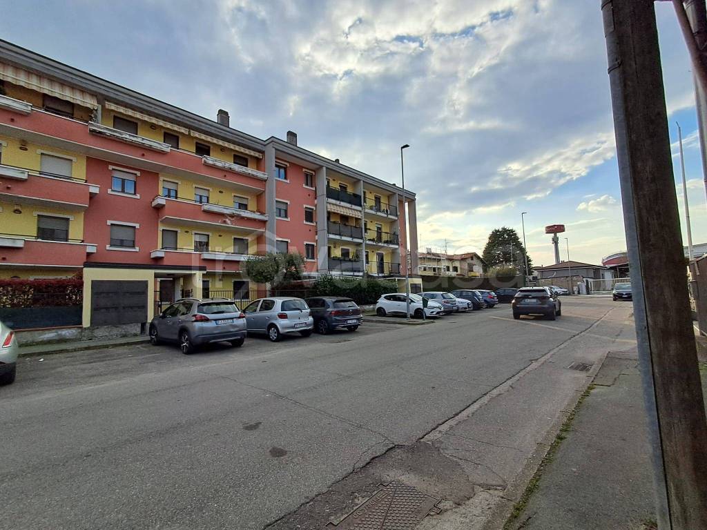 immagine annuncio 1 di 15