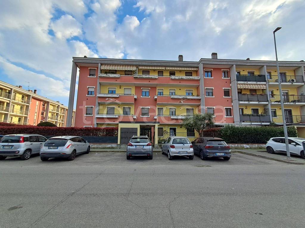 immagine annuncio 2 di 15