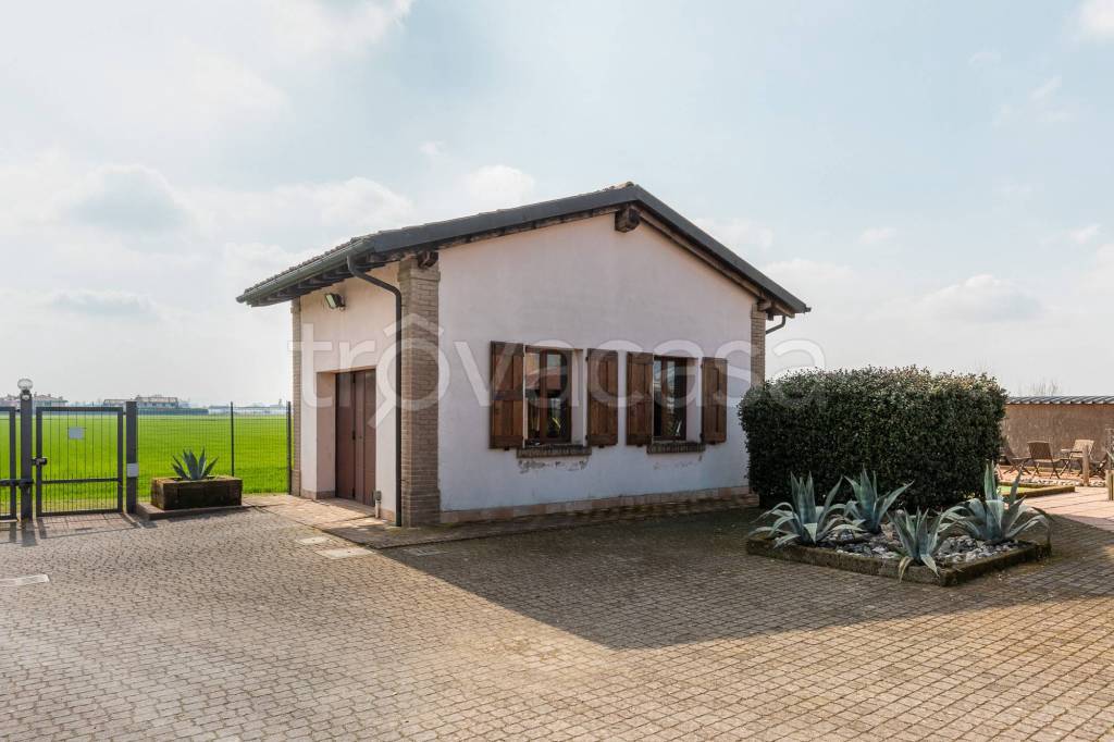 immagine annuncio 6 di 15