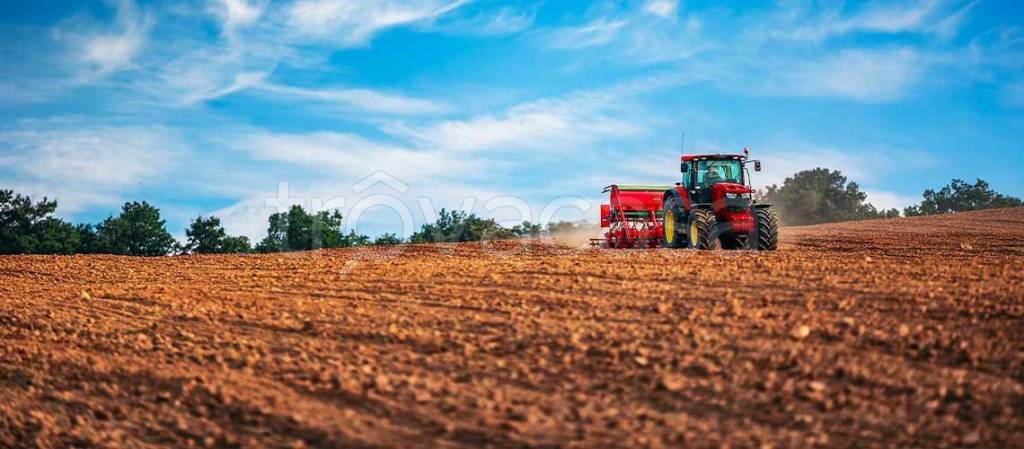 immagine annuncio 4 di 8