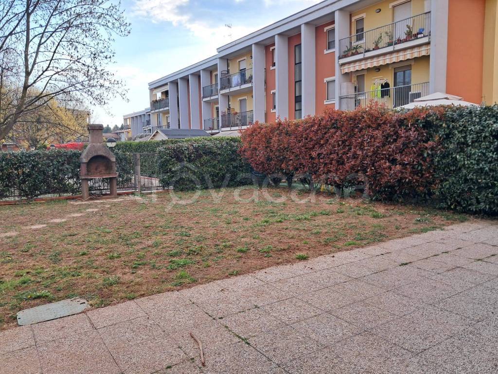 immagine annuncio 12 di 15