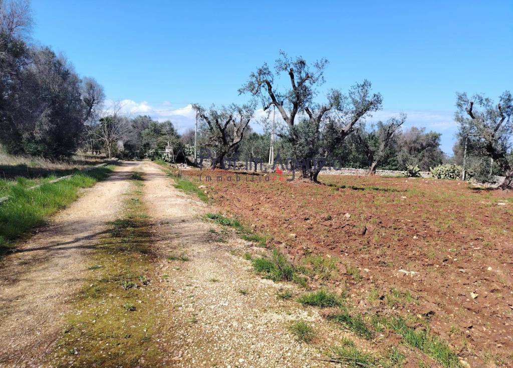 immagine annuncio 8 di 13