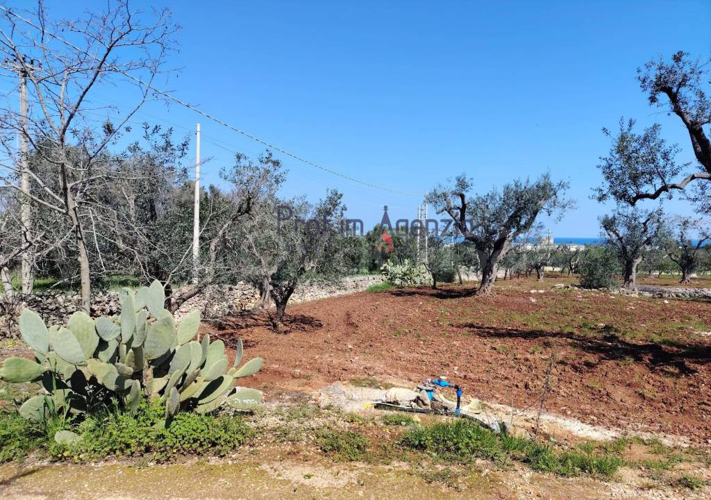 immagine annuncio 10 di 13