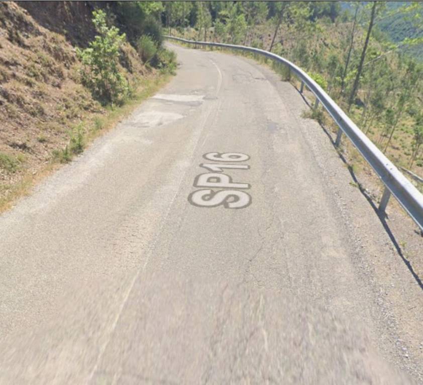 immagine annuncio 6 di 9