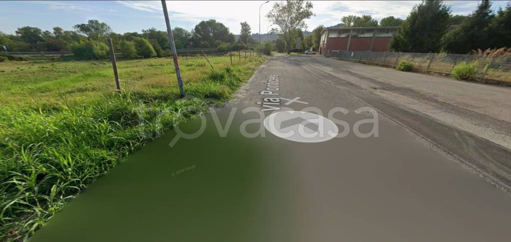 immagine annuncio 4 di 12