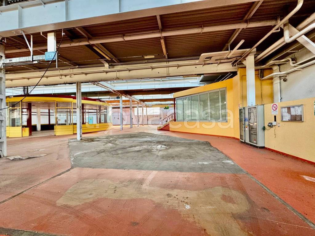 immagine annuncio 9 di 15