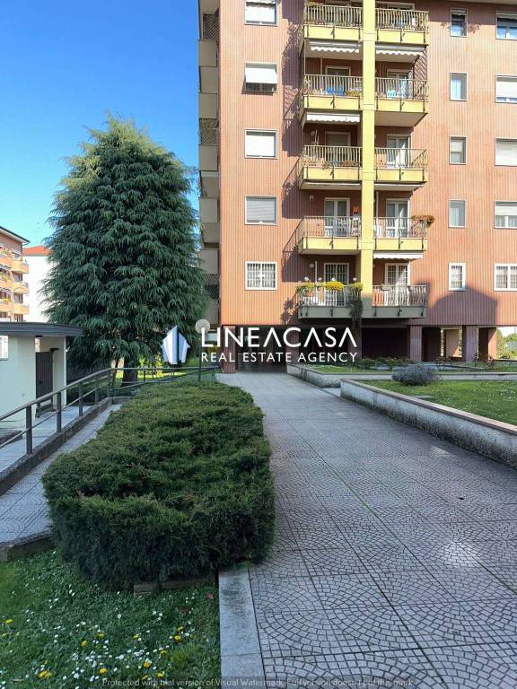 immagine annuncio 5 di 15