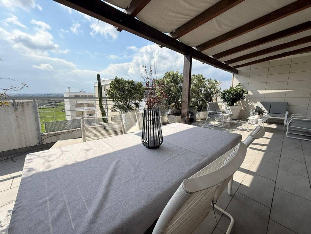 immagine annuncio 12 di 14