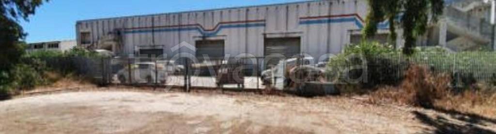 immagine annuncio 1 di 11