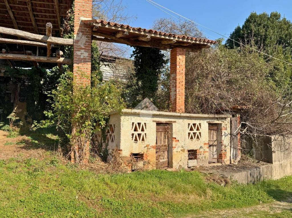 immagine annuncio 3 di 15