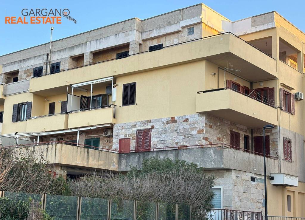 immagine annuncio 11 di 12