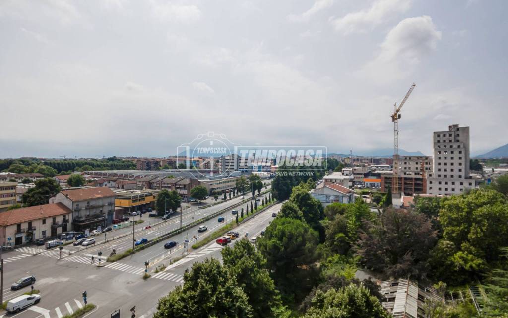 immagine annuncio 7 di 14