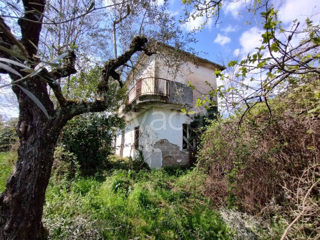 immagine annuncio 3 di 11