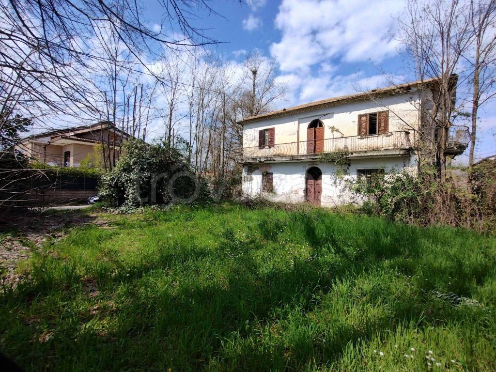 immagine annuncio 1 di 11