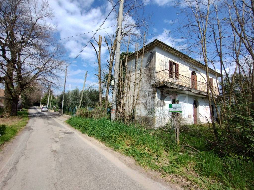 immagine annuncio 5 di 11