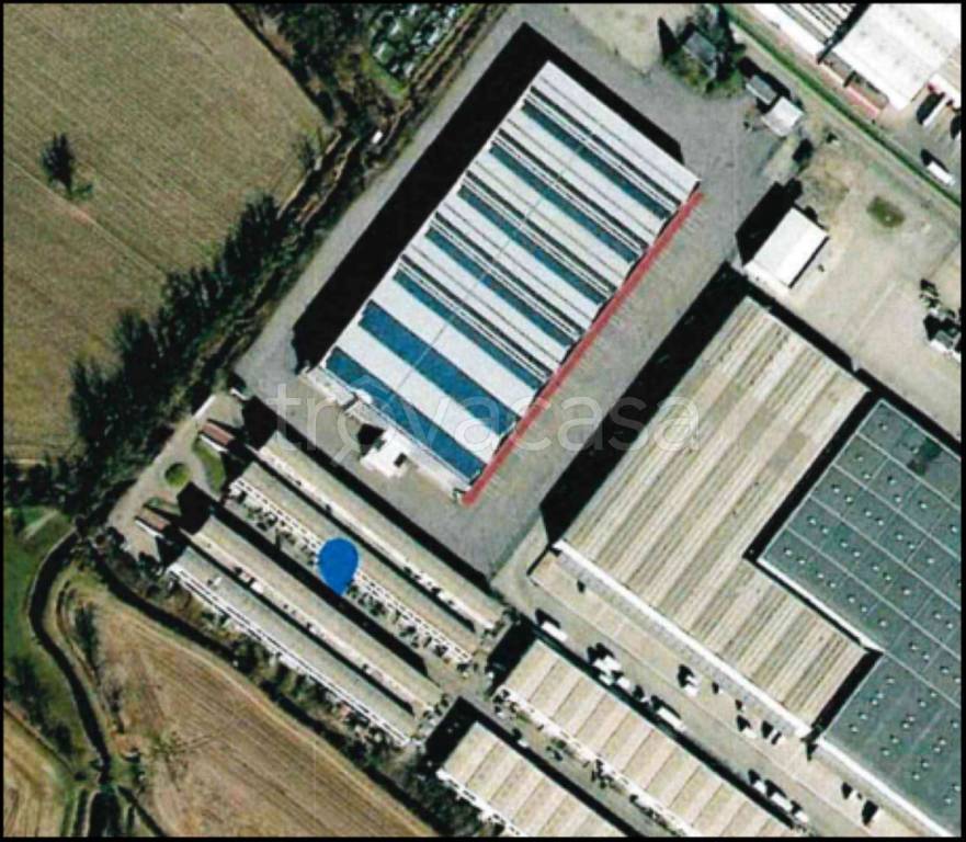 immagine annuncio 12 di 13