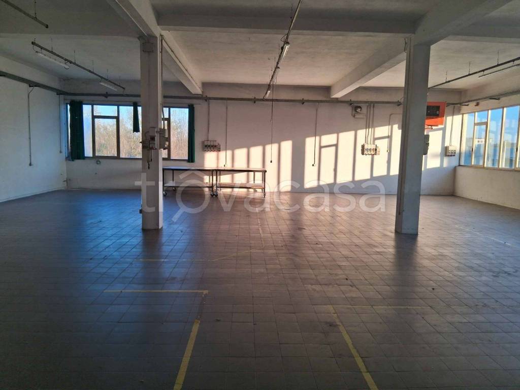 immagine annuncio 1 di 9