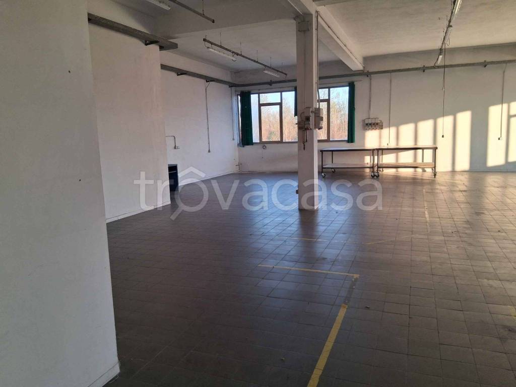 immagine annuncio 2 di 9