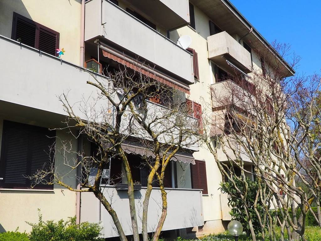 immagine annuncio 3 di 12