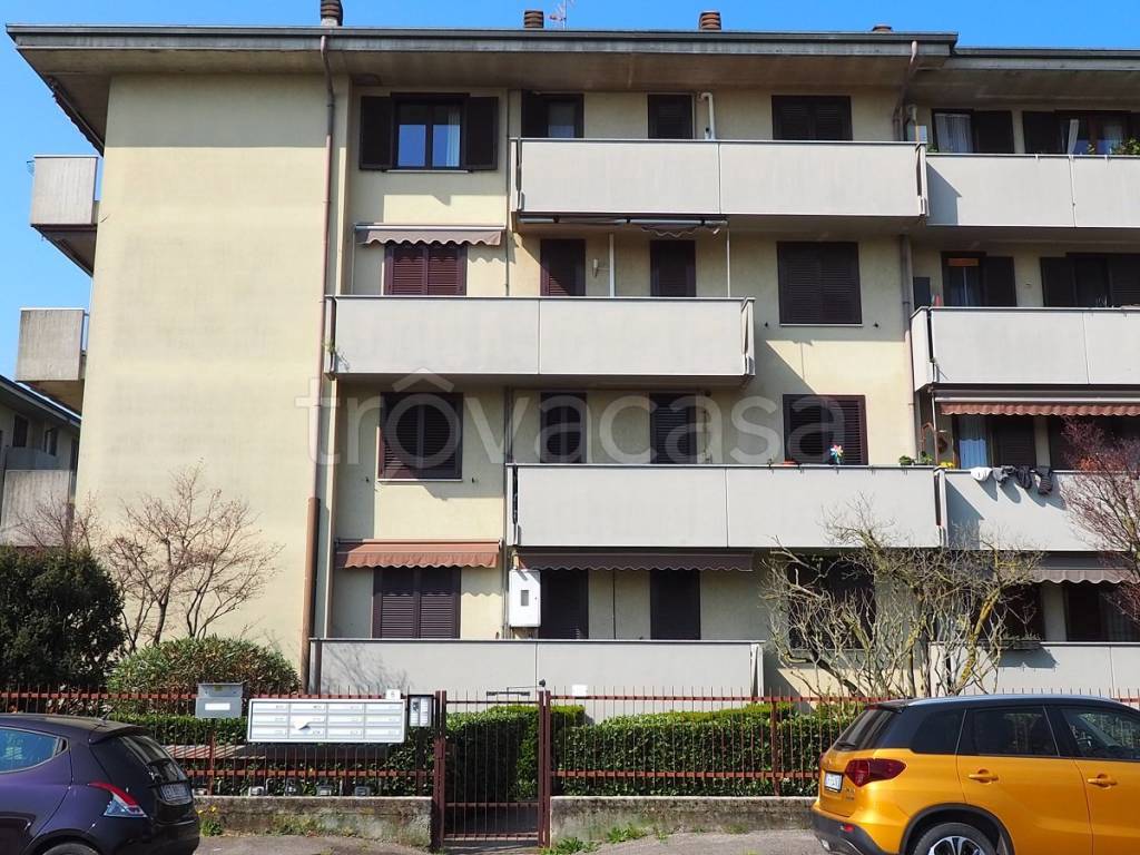 immagine annuncio 2 di 12