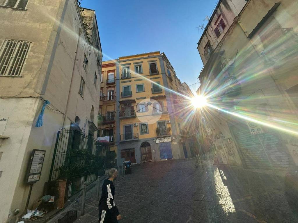 immagine annuncio 3 di 14