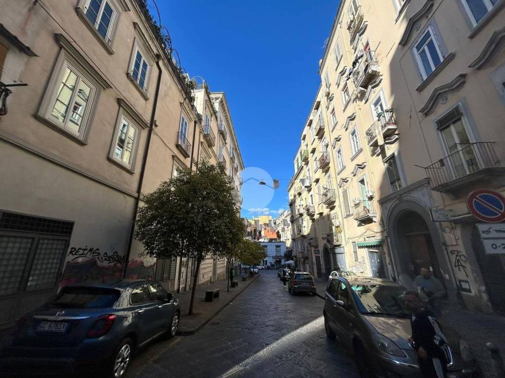 immagine annuncio 4 di 14