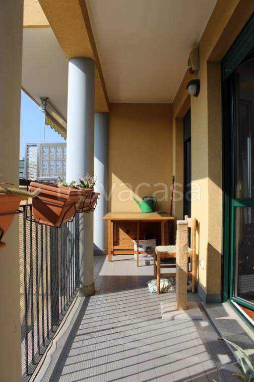 immagine annuncio 7 di 15